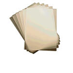 Dahle Laminiertaschen DIN A4 216x303 mm, 2x100 micron, 25...