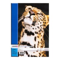 LANDRÉ Zeichenblock perforiert, A4, 10 Blatt, 100...