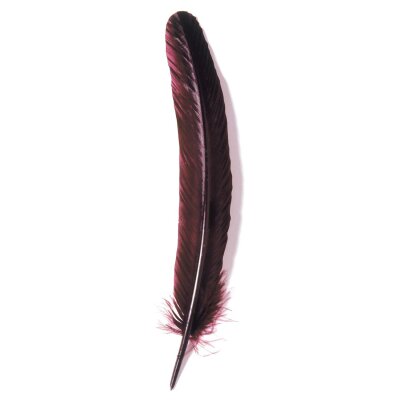 Herbin Gänsekiel, 28 cm lang - bordeauxrot