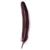 Herbin Gänsekiel, 28 cm lang - bordeauxrot