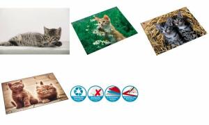 Motiv-Poster Schreibunterlage Katzen im Stroh, 40x53cm