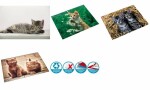 Motiv-Poster Schreibunterlage Katzen im Stroh, 40x53cm