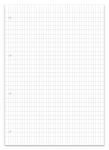 Staufen Schulblock A4 50Bl 90g Premium rautiert mDR 4xgelocht