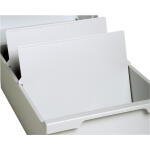 Exacompta Trennplatte Din A4 Gar=2St Clc Ltgr