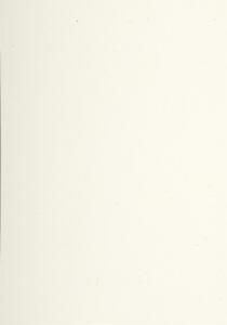 Lalo Strohpapier A4 200g 20Bl