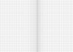 BRUNNEN Schulheft A6 Lineatur 52 kariert 32 Blatt Recyclingpapier 104613201