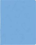 BRUNNEN Ringbuch A4 FACT!plus 2-Ringe 15mm hellblau...