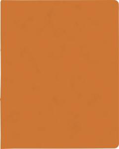 BRUNNEN Ringbuch A4 FACT!plus 2-Ringe 15mm orang 106550940