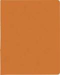 BRUNNEN Ringbuch A4 FACT!plus 2-Ringe 15mm orang 106550940