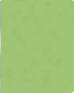 BRUNNEN Ringbuch A4 FACT!plus 2-Ringe 15mm hellgrün 106550953