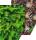 HEYDA 204772256 Motivkarton Naturstrukturen Tannen/Zapfen 50 x 70 cm