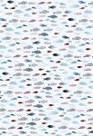 HEYDA Motivkarton Fische A4 (21 x 31 cm inkl....