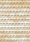 HEYDA 204878935 Transparentpapier Noten A4 (21 x 31 cm...