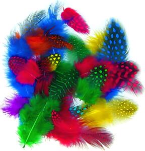 HEYDA Perlhuhnfedern 4 - 6 cm 4 Farben sortiert (gelb rot blau grün)