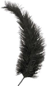 KNORR PRANDELL 216615619 Feder ca. 35 cm schwarz