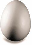 KNORR PRANDELL 216768032 Styropor-Ei 45 x 3 cm Styropor...