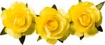 KNORR PRANDELL Dekostreu Blumen Papierblume Ø 25...
