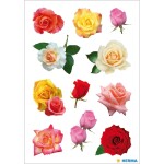 Herma Sticker DECOR Blumen Rosenblüten 3 Bl