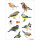 Herma Sticker DECOR Tiere Aquarell Vögel 3 Bl