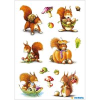 Herma Sticker DECOR Tiere Eichhörnchen 3 Bl
