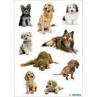 Herma Sticker DECOR Tiere Hundefotos 3 Bl
