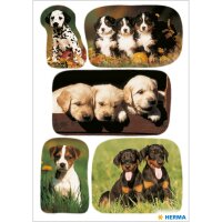 Herma Sticker DECOR Tiere Hundewelpenfotos 3 Bl
