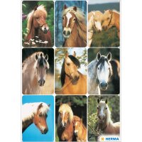Herma Sticker DECOR Tiere Pferdeköpfe 3 Bl