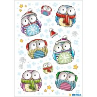 Herma Sticker MAGIC Weihnachten Winter Eulen Wackelaugen...