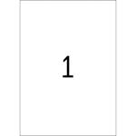 Herma Etiketten permanent haftend 210 x 297 mm grün 100 Bl 100 Etik. LaserInkCopy