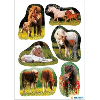 Herma Sticker DECOR Tiere Pferdefotos 3 Bl