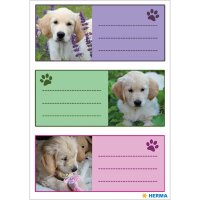 Herma Schuletiketten 76 x 35 mm Hunde 3 Bl 9 Etik.