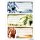 Herma Schuletiketten 76 x 35 mm Fussball 3 Bl 9 Etik.