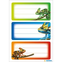 Herma Schuletiketten 76 x 35 mm Gecko 3 Bl 9 Etik.