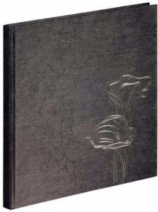 Pagna Gedenkbuch 25x25cm Calla 144S grau