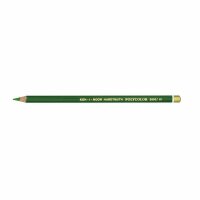 KOH Künstlerfarbstifte Polycolor sap green 12er