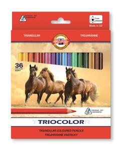 KOH Buntstifte Schule Jumbo Triocolor 36er