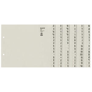 LEITZ Registerserie A4 6BL grau REG.SERIE A4 6TLG. 13060085