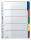 LEITZ 4320 Register blanko Karton A4 5 Blatt Taben 5farbig