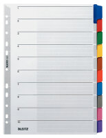 LEITZ 4321 Register blanko Karton A4 10Blatt Taben 10farbig