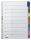 LEITZ 4321 Register blanko Karton A4 10Blatt Taben 10farbig