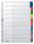 LEITZ 4321 Register blanko Karton A4 10Blatt Taben 10farbig