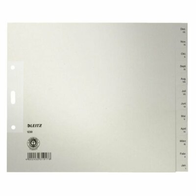 LEITZ 1230 Monatsregister DezJan Papier A4 Überbreite 20cm hoch 12 Blatt grau