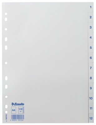 LEITZ Register A4 112 weiß 100153 Plastik 12tlg.