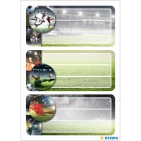 Herma Schuletiketten 76 x 35 mm Football 2 Bl 6 Etik.