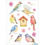 Herma Sticker DECOR Tiere Singvögel 3 Bl