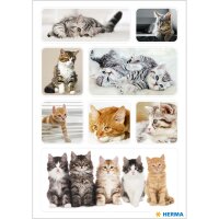 Herma Sticker DECOR Tiere Katzenkinder 3 Bl