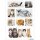 Herma Sticker DECOR Tiere Katzenkinder 3 Bl