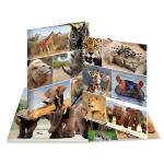 Herma Sammelmappe Eckspanner Karton A4 Afrika Tiere