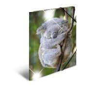 Herma Sammelmappe Eckspanner PP A3 Glossy Koala