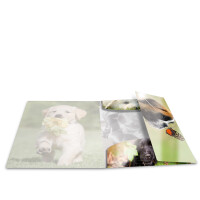 Herma Sammelmappe Eckspanner PP A3 Glossy Hunde